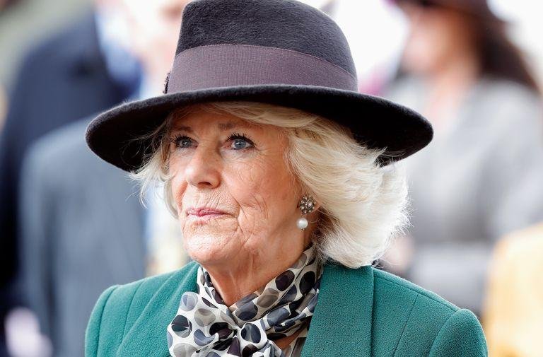 Quel Âge A Camilla : L'âge actuel de Camilla, Duchesse de Cornouailles
